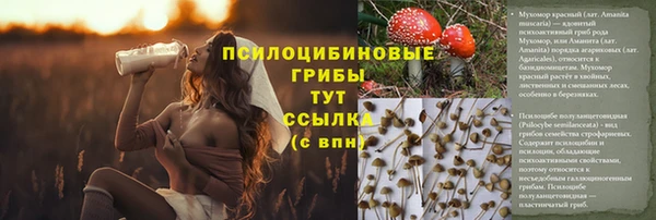 ALPHA PVP Заволжск