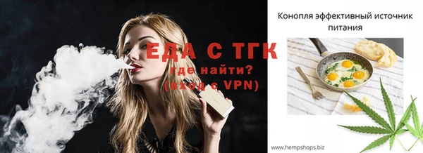 дмт Заводоуковск