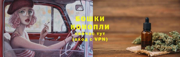 дмт Заводоуковск