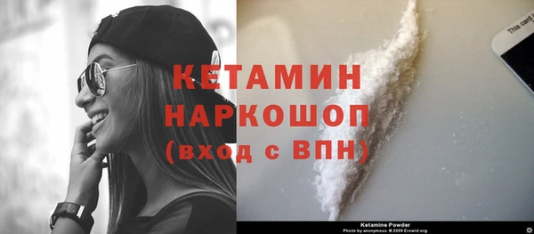 2c-b Ельня