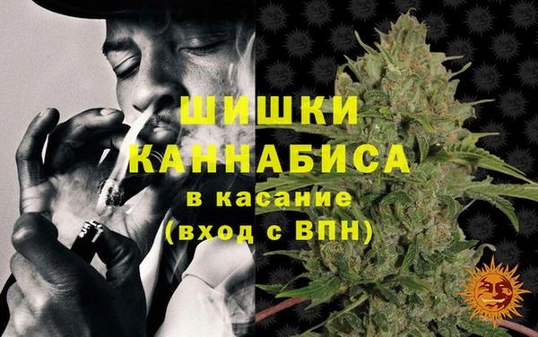 дмт Заводоуковск
