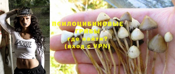 дмт Заводоуковск