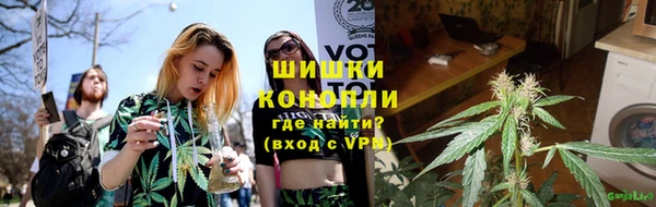 дмт Заводоуковск