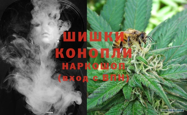 2c-b Ельня